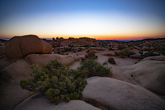 sunset in the desert