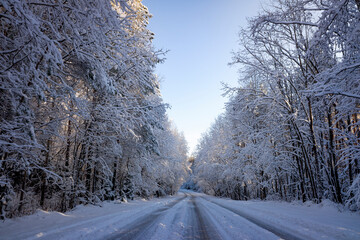 a highway in a snow-covered forest, trees covered with snow. blue sky.