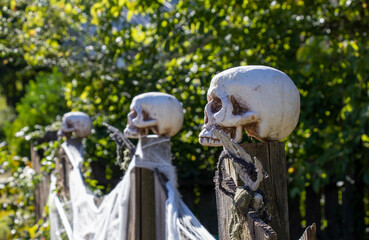 Side view close-up of human skulls sitting on wooden fenceposts strung with white spider web, outdoor Halloween decorations.