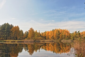 Little lake in Moscow region, Russia. October. Reflections in water. Golden Autumn (HDR)