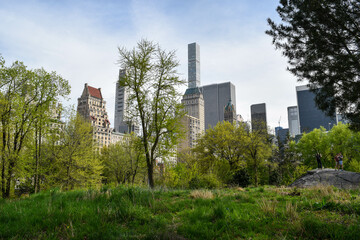 park in the city