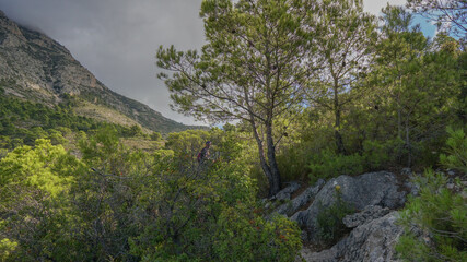Senderista subiendo a una montaña por una senda de montaña mediterránea