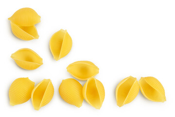 Raw conchiglie shell pasta isolated on white bachground with clipping path and full depth of field. Top view with copy space for your text. Flat lay