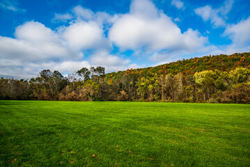 Autumn landscape with sky and green grass