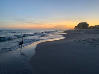 sunset on the beach