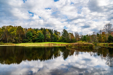 Autumn lake in the forest