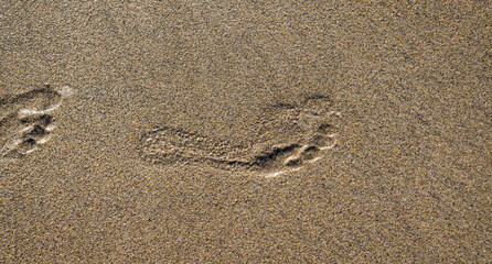 Fototapeta na wymiar Amazing traces on the sand beach