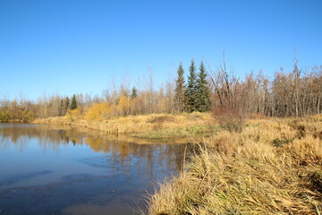 Autumn On The Water, Pylypow Wetlands, Edmonton, Alberta