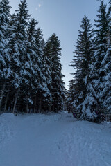 Winter landscape of Rila Mountain near Malyovitsa peak, Bulgaria