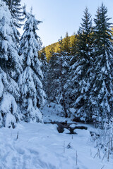 Obraz na płótnie Canvas Winter landscape of Rila Mountain near Malyovitsa peak, Bulgaria