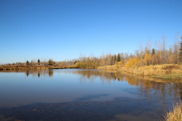 Calm Autumn Waters, Pylypow Wetlands, Edmonton, Alberta