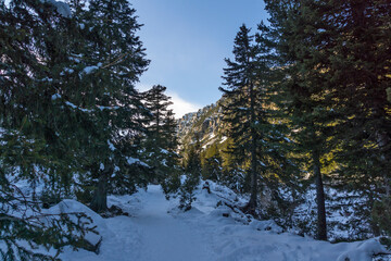 Winter landscape of Rila Mountain near Malyovitsa peak, Bulgaria