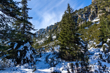 Winter landscape of Rila Mountain near Malyovitsa peak, Bulgaria