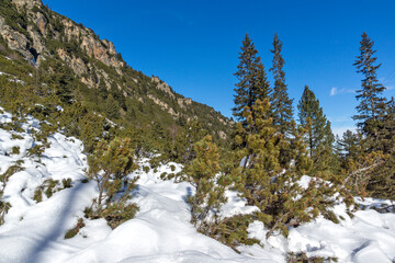 Winter landscape of Rila Mountain near Malyovitsa peak, Bulgaria