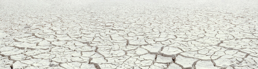 Dried white clay panorama, natural cracked texture of dry lake bed with perspective and deep focus