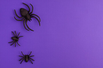 One big and two tiny black artificial spiders on vibrant purple background on the left with copy space. Halloween scary holiday and autumn concept.