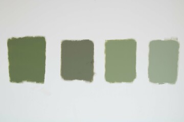 Testing green color tones on a wall. Interior design with differents tones of green