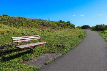 Bench in the park, blue sky landscape 