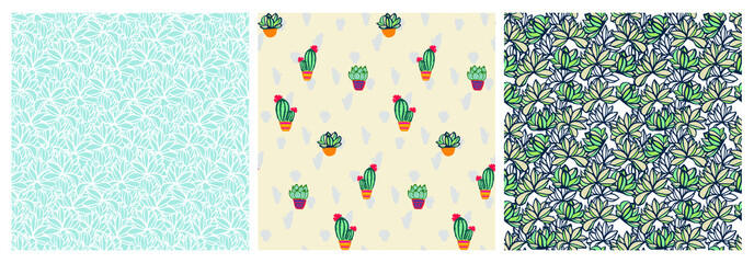 set of seamless patterns with cactus plant