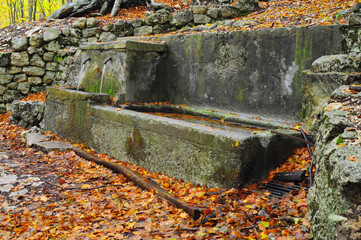 antica Fonte in montagna piena di foglie cadute in autunno