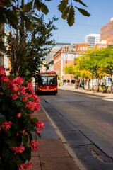 Pot with Flowers on 16th Steet mall Downtown Denver Electric Bus Ride Colorado