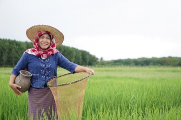 Asian woman farmer wear hat , stand at paddy field, holds traditional equipment for catching fish for food. Concept : earn living from nature. Local lifestyle in Thailand. Countryside living lifestyle