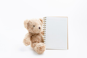 Single brown teddy bear sitting with book open for writing text isolated on white background with copy space.