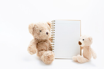 Teddy bears sitting with book open for writing text isolated on white background with copy space.
