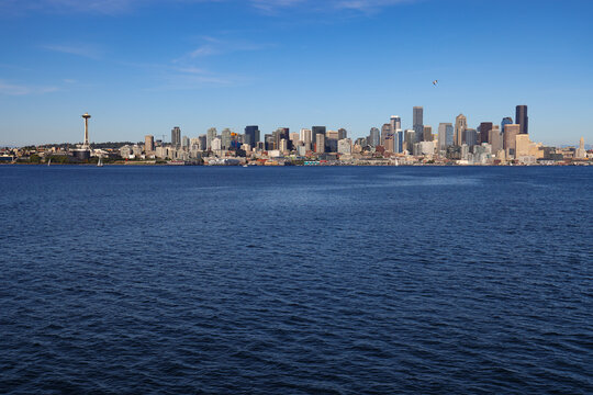 seattle city skyline