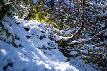 富山県上市町にある雪が積もった晩秋のクズバ山の登山道から剣岳、大日岳、猫又山などを見る風景 A view of Mt. Kuzuba with snow on the trail in late autumn in Kamiichi Town, Toyama Prefecture, looking at Mt.Tsurugi, Mount Dainichi.