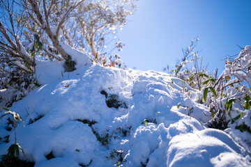 富山県上市町にある雪が積もった晩秋のクズバ山の登山道から剣岳、大日岳、猫又山などを見る風景 A view of Mt. Kuzuba with snow on the trail in late autumn in Kamiichi Town, Toyama Prefecture, looking at Mt.Tsurugi, Mount Dainichi.
