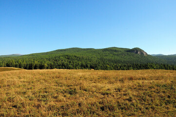An autumn meadow with dry grass overlooking a rock formation on the top of a hill overgrown with coniferous forest.