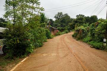 Obraz premium path in the garden