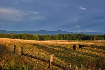 Virginia Countryside