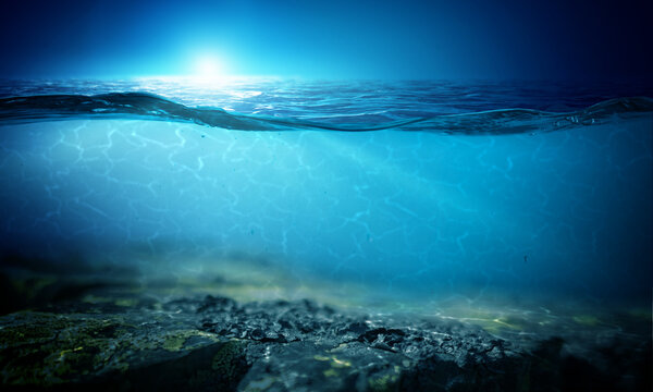 Half underwater in the sea