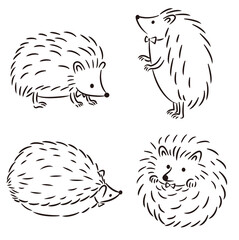 ハリネズミのモノクロ線画イラスト