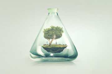 Tree growing inside clear glass bottle