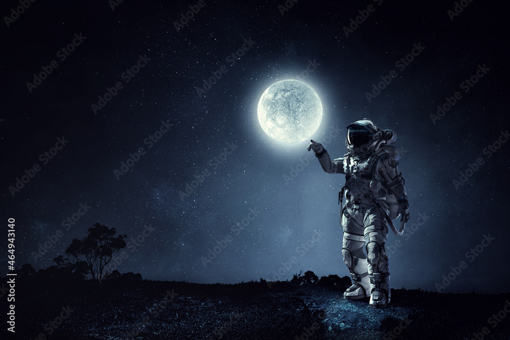 Canvas Prints astronaut walking on an unexplored planet