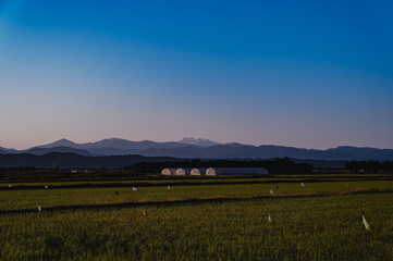 Obraz premium 朝の白山