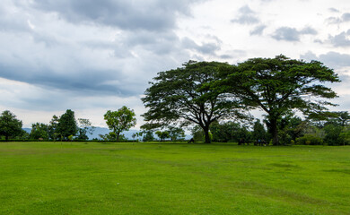 Evening atmosphere in a green and calm garden.
