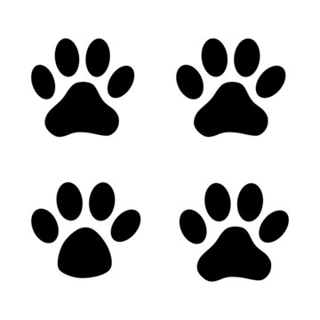 Dog paw prints collection