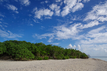 白砂のビーチが広がるコンドイ浜