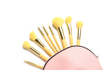 Makeup brushes in cosmetic bag on white background