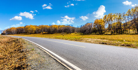Asphalt road and trees with mountain nature landscape at autumn.