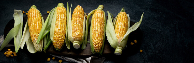 Raw corn or maize on dark background.