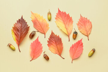 Acorns and beautiful autumn leaves on color background