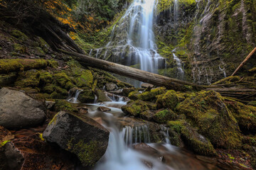 Obraz premium Proxy Falls 