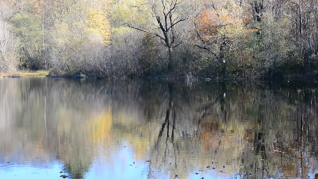 autumn paints the woods and lakes