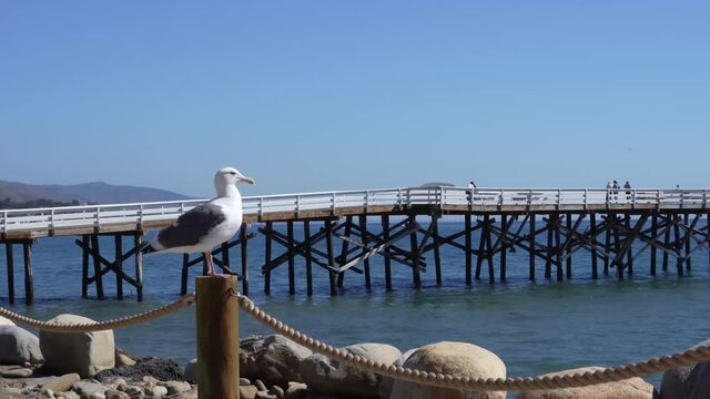 Paradise Cove in Malibu, California