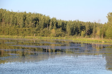 Evening On The Lake, Elk Island National Park, Alberta